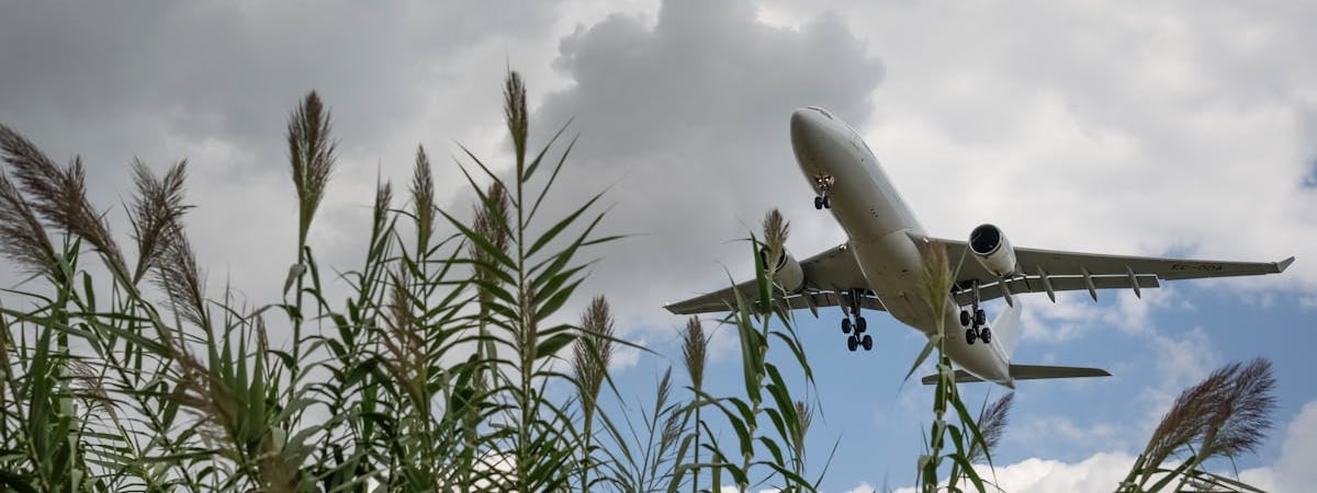 Израильская авиакомпания отменила рейсы в Москву после крушения самолета AZAL