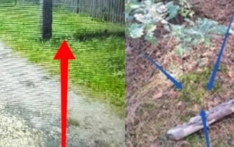 Девочка-подросток помогла задержать трех наркоторговцев в Могилеве