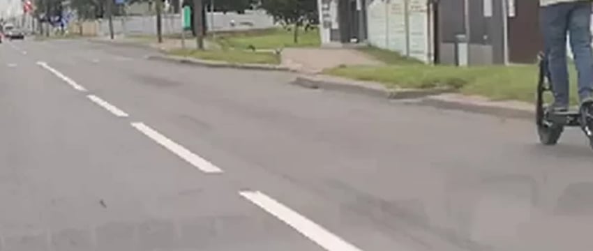 Брест обсуждает скоростного самокатчика, вылезают проблемы с инфраструктурой