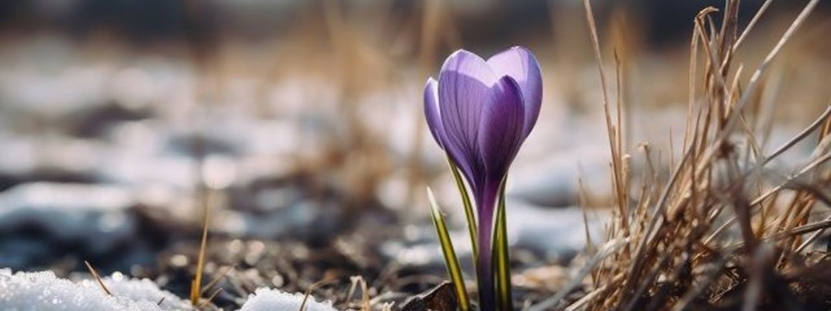 На крок наперадзе хакера: простыя парады па кібербяспецы