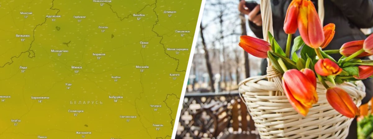 «Ветер ослабнет, а тепло – нет» — Синоптики рассказали, где в праздничные выходные ждать +18°С, а где — гололёд