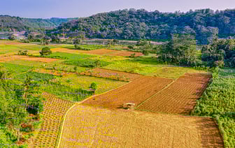 Минобороны РФ отчиталось о сбитии за ночь более 120 беспилотников в 13 регионах