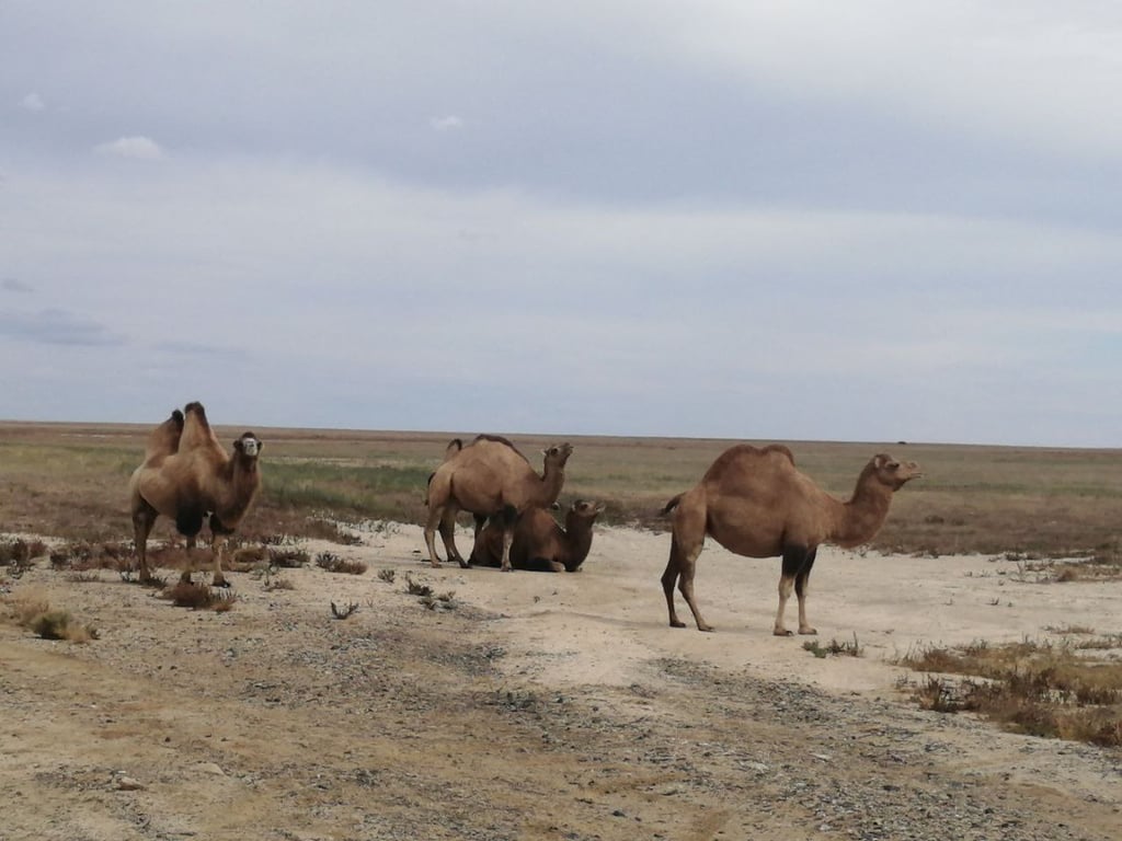 Белорусы посмотрели четыре страны без виз