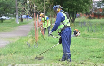 В Гомеле новые вводные по покосу травы
