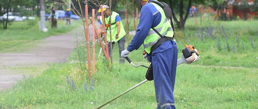 В Гомеле новые вводные по покосу травы