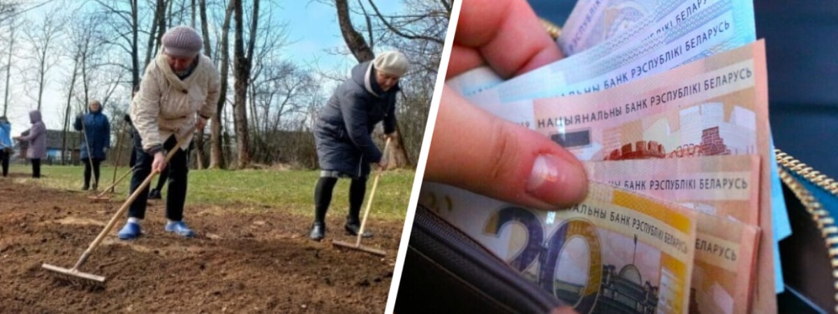 Экологи пригрозили белорусам штрафом в 1260 рублей за этот вид весеннего «благоустройства» — Видео