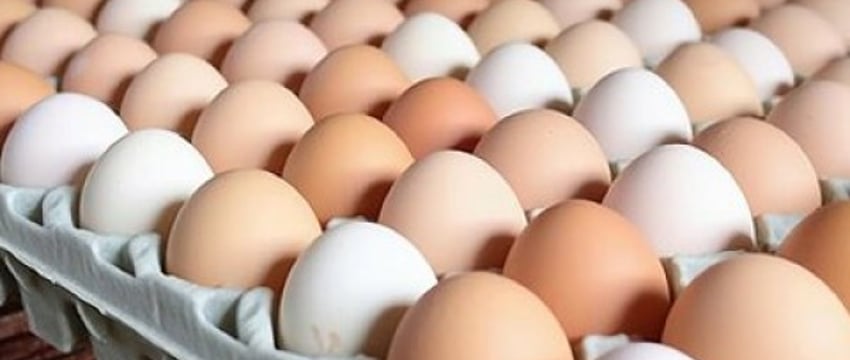 Беларусь стала крупным импортером яиц в Россию
