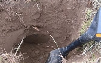 Житель Каменецкого района выкопал артиллерийский снаряд и спрятал в гараже