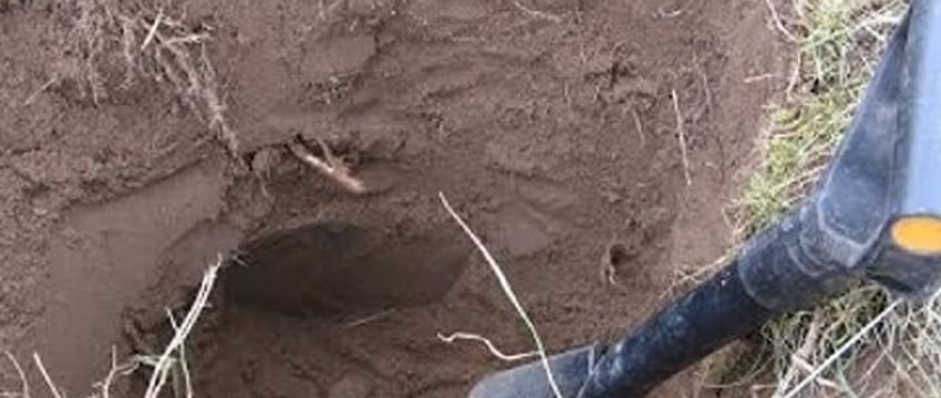 Житель Каменецкого района выкопал артиллерийский снаряд и спрятал в гараже