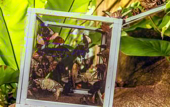 Полоцкий университет приглашает на День открытых дверей на площадке коллегиума