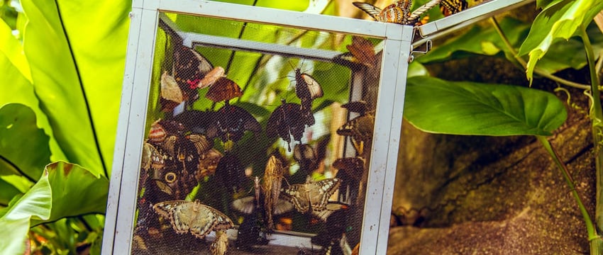 Полоцкий университет приглашает на День открытых дверей на площадке коллегиума