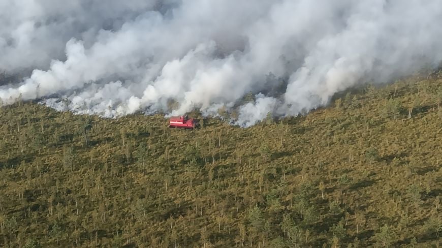 Работники лесной охраны рассказали, как справлялись с бушующим огнем в Полесском лесхозе