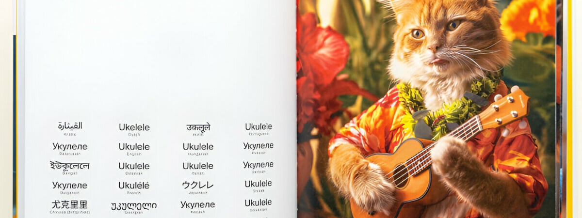 Белорус сделал для дочки букварь на 24 языках. В главных ролях – деловые коты — Фото