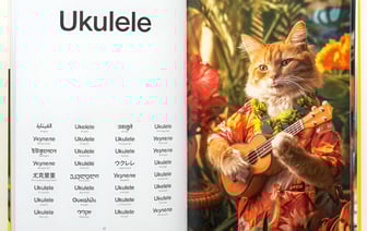 Белорус сделал для дочки букварь на 24 языках. В главных ролях – деловые коты — Фото