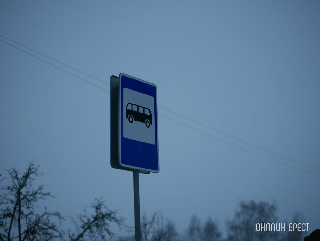 Фото носит иллюстративный характер