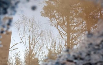 Трагедия в Беларуси: второй утопленник за последнюю неделю