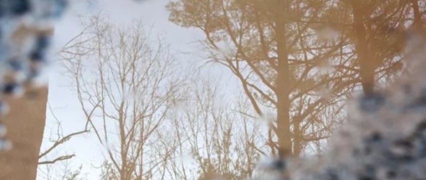 Трагедия в Беларуси: второй утопленник за последнюю неделю