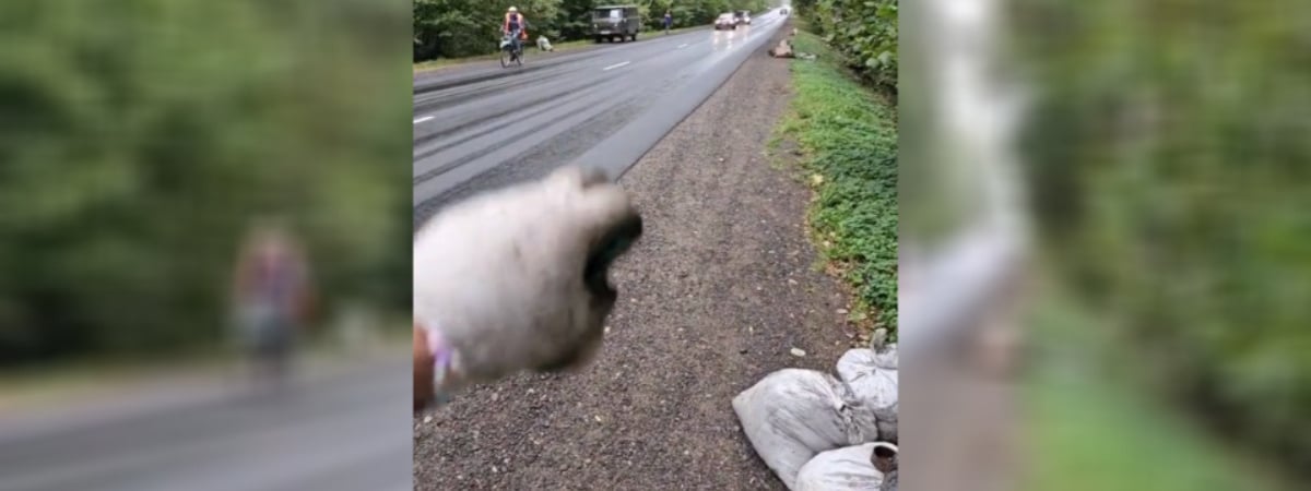 «Эльфы вас благодарят!» — Экоактивист показал, «как чисто» в белорусских лесах — Видео