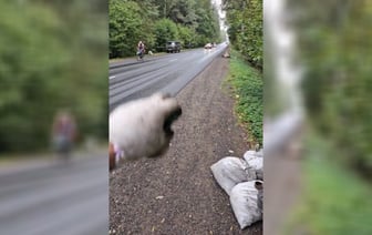 «Эльфы вас благодарят!» — Экоактивист показал, «как чисто» в белорусских лесах — Видео