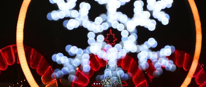 В Гомеле 2025-й можно встретить вместе с городом