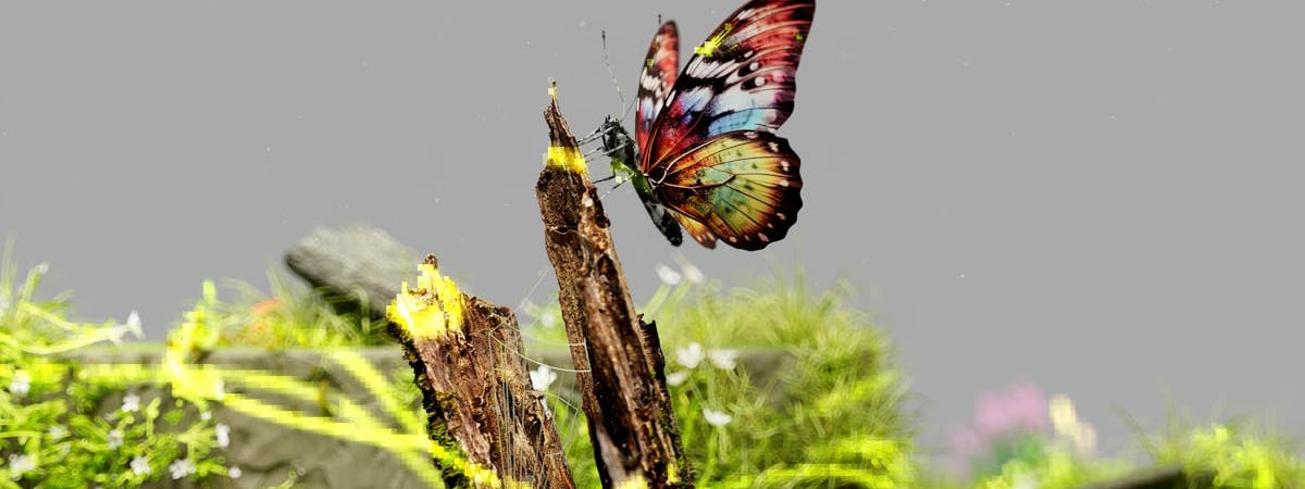 Кому из белорусов нужно проводить «идентификацию» личных вещей во время выезда из страны? В ГТК предупредили о «красном коридоре»