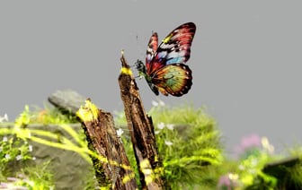 Кому из белорусов нужно проводить «идентификацию» личных вещей во время выезда из страны? В ГТК предупредили о «красном коридоре»