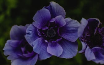 Президент Эстонии считает необходимым реформировать Совбез ООН