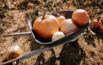 Toyota намерена наращивать производство в Китае