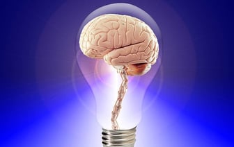 Чем отличаются мозг женщины и мужчины? Учёные поделились открытием