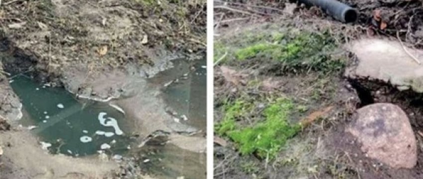 Соседский конфликт в Каменецком районе из-за слива воды