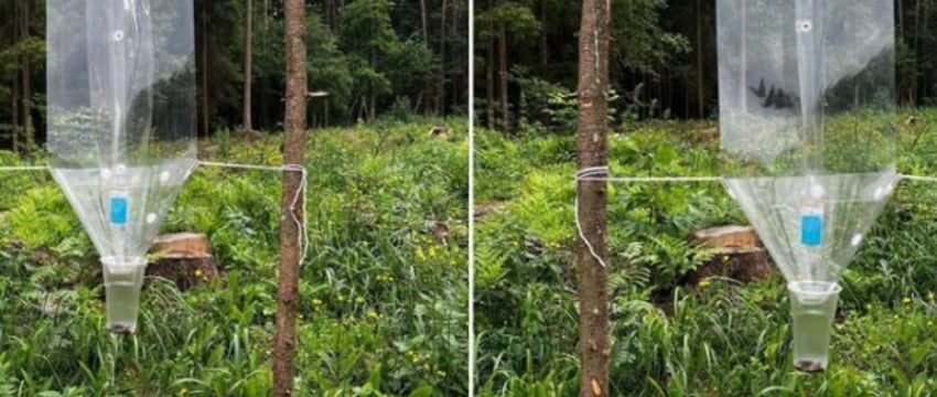 Белорус нашел в лесу странное приспособление. Угадаете, что это?