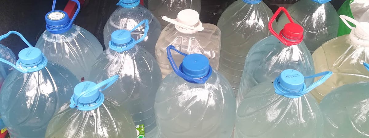 Врачи Гродно рассказали, кому нельзя пить березовый сок