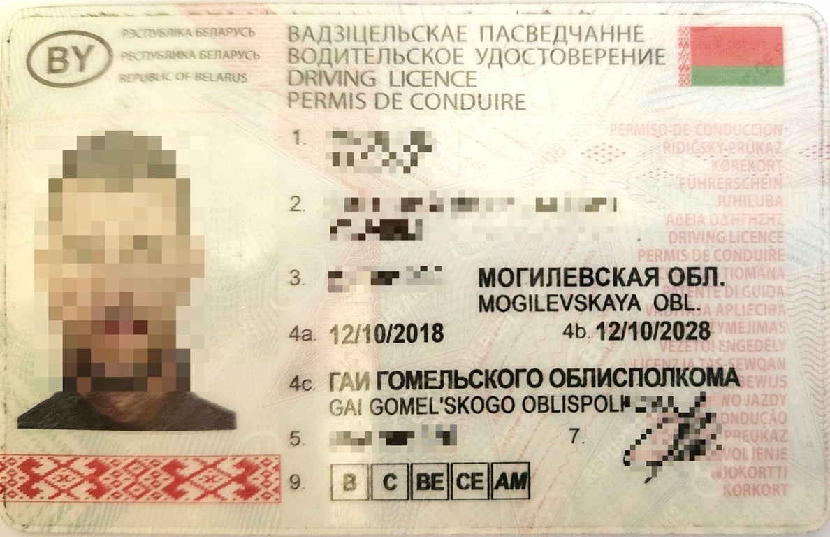 Житель Могилевщины пытался въехать в Литву по поддельным водительским удостоверениям. Их было сразу два