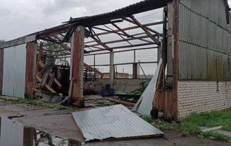 В МЧС рассказали о последствиях непогоды на Брестчине