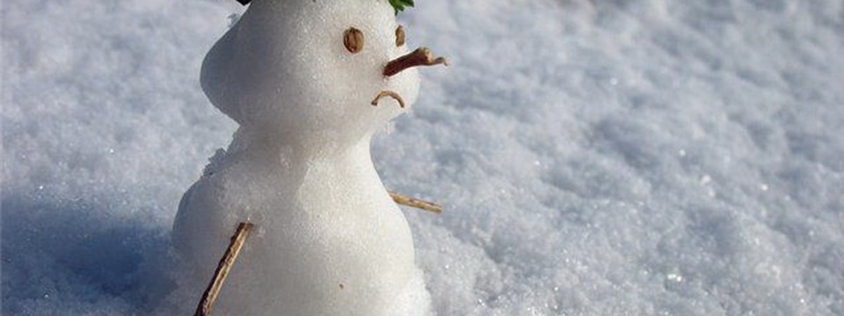 Зима всё? Синоптики пообещали белорусам «контрастную» неделю и «перманентную метеовесну» в феврале — Фото