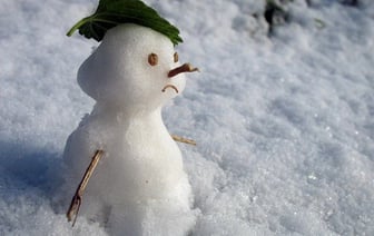 Зима всё? Синоптики пообещали белорусам «контрастную» неделю и «перманентную метеовесну» в феврале — Фото