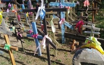 Жители Каменецкого района несут кресты к дереву, под которым, по легенде, деревенской девочке явилась Божья Матерь