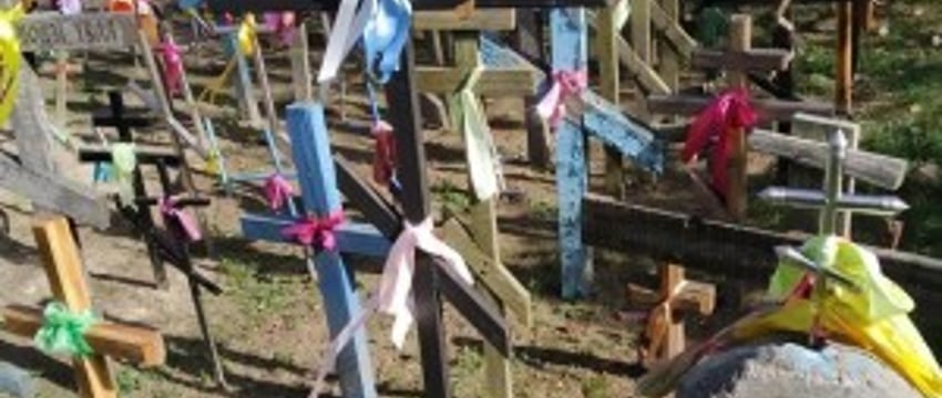 Жители Каменецкого района несут кресты к дереву, под которым, по легенде, деревенской девочке явилась Божья Матерь