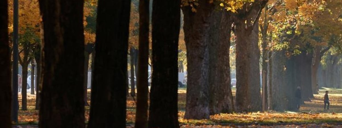 Беларусы пожаловались в Совмин на нехватку «естественного света»