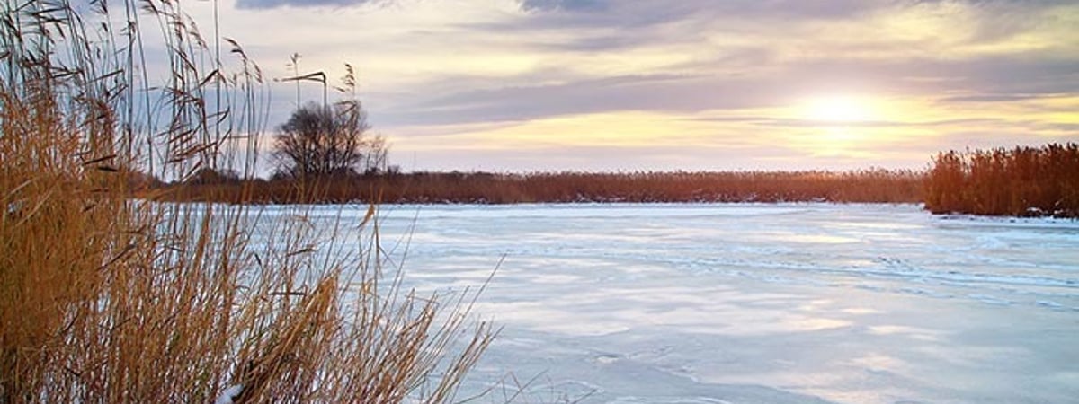 ОСВОД рассказывает, в каких районах области прочный лед