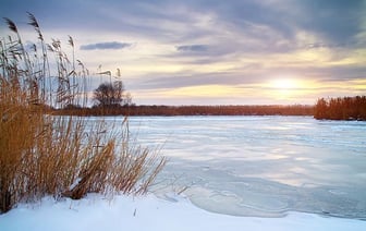 ОСВОД рассказывает, в каких районах области прочный лед
