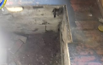 Тело пролежало в погребе несколько дней: следователи раскрыли подробности убийства в Борисове