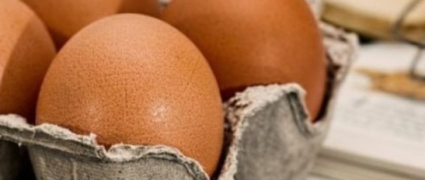 Сколько яиц в неделю снижают риск смерти? Рассказали ученые