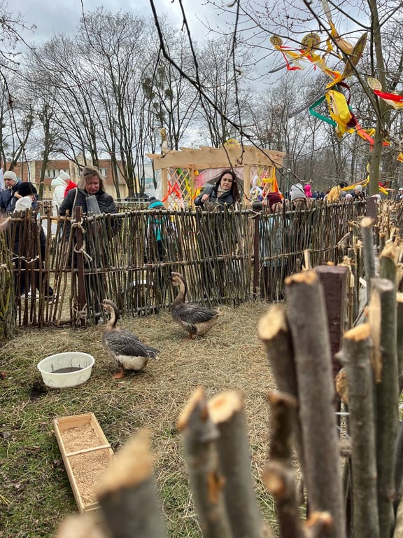 В Бресте проходят народные гуляния «Широкая масленица»