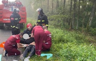 В Пружанском районе автомобиль врезался в дерево