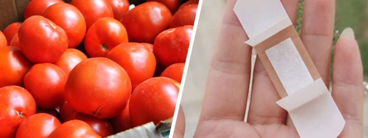 Зачем заклеивать помидоры пластырем? Повар раскрыл секрет, как это влияет на их сочность