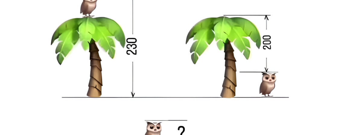 Многие взрослые не могут решить эту простую загадку. Какой рост у совы? — Полезно