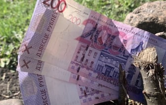 Куда уходят денежки. Что в кошельке у молодой семьи из Беларуси