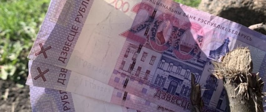 Куда уходят денежки. Что в кошельке у молодой семьи из Беларуси