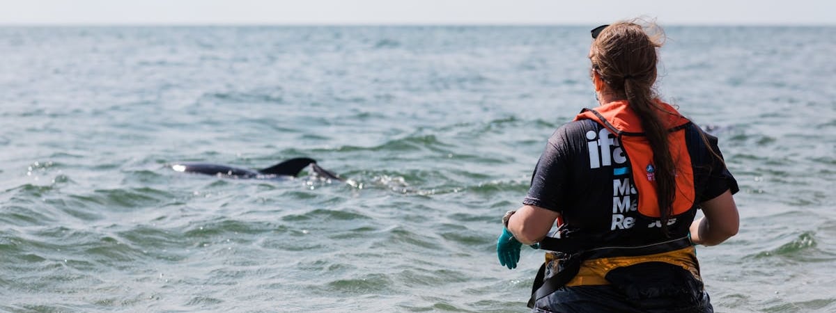 Более 80 тысяч человек подписали петицию за освобождение Алеся Беляцкого